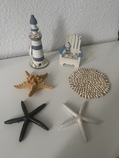 Ostsee Deko. Seesterne