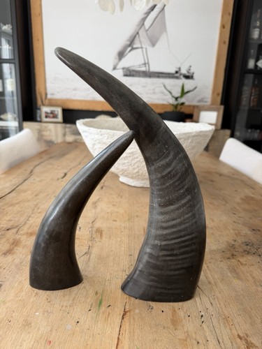 Naturhörner aus südafrika - 2,